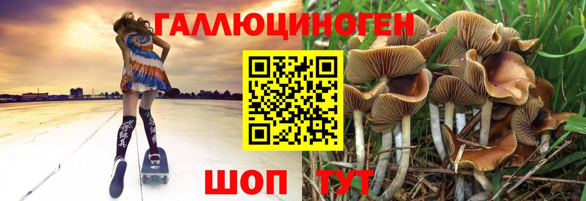 Псилоцибиновые грибы ЛСД  Вход с VPN  Солнечногорск 